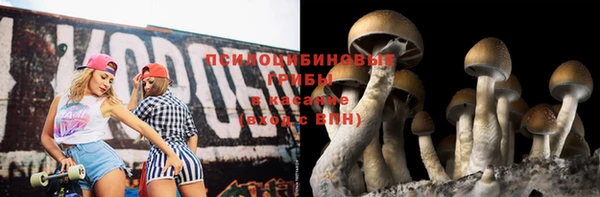 твердый Абдулино