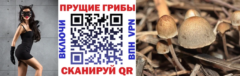 мега как зайти Альметьевск Псилоцибиновые грибы GOLDEN TEACHER
